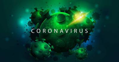 В ВОЗ назвали главную версию происхождения коронавируса