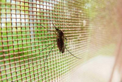 На Закарпатье выявили два случая заражения малярией