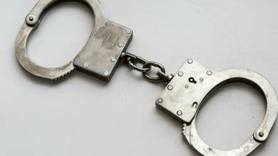 Полиция Татарстана задержала подозреваемого в убийстве 26 пенсионерок