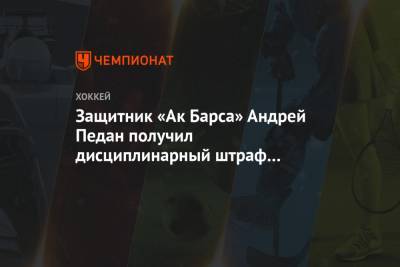 Защитник «Ак Барса» Андрей Педан получил дисциплинарный штраф до конца матча после сирены