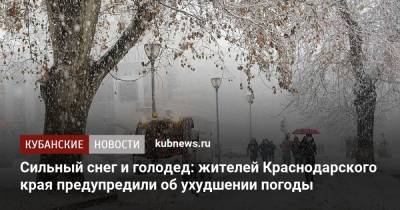 Сильный снег и голодед: жителей Краснодарского края предупредили об ухудшении погоды