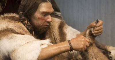 Homo sapiens и неандертальцы могли использовать одинаковую технологию изготовления орудий, — ученые - focus.ua - Англия - Палестина - Иерусалим
