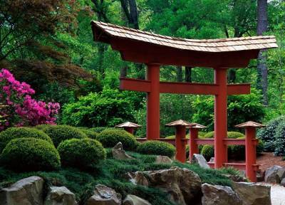 Устроим на даче японский уголок: там будут цукубай и бамбуковая изгородь