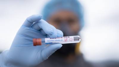 В России появились тест-системы, которые определяют мутации коронавируса