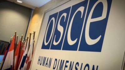 Украина в ОБСЕ заявила о сети агентов ФСБ, которые планировали диверсии