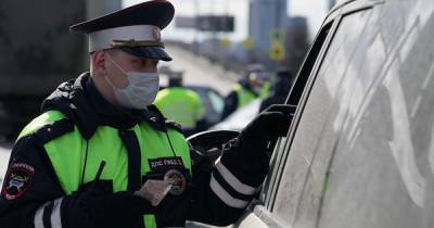 Полиция спасла замерзавшего на трассе под Нижним Новгородом африканца