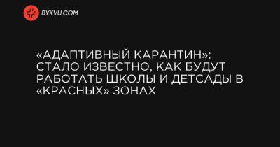 «Адаптивный карантин»: стало известно, как будут работать школы и детсады в «красных» зонах