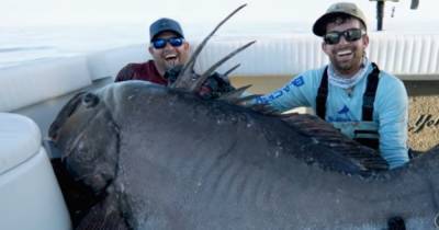 "Это был монстр": в США рыбаки выловили окуня длиной больше человеческого роста (видео)