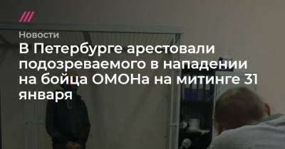 В Петербурге арестовали подозреваемого в нападении на бойца ОМОНа на митинге 31 января