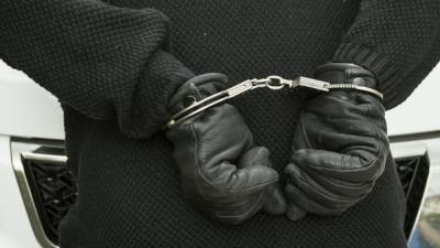 Полиция Москвы задержала пенсионера за групповое изнасилование школьницы
