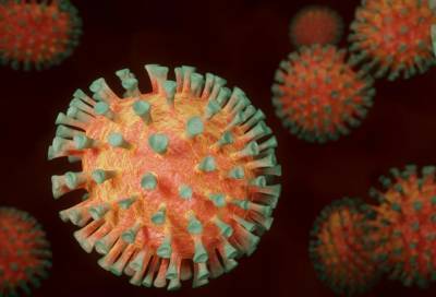 В Центре Гамалеи спрогнозировали ситуацию с коронавирусом весной