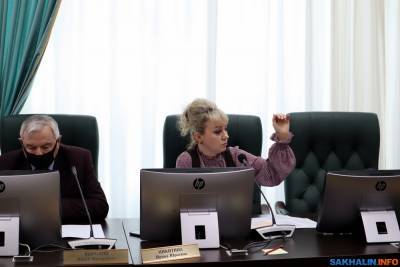 Депутаты боятся, что Сахалин погрязнет в концессиях - sakhalin.info