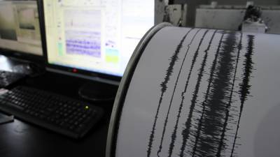 Сейсмологи зафиксировали сильное землетрясение в королевстве Тонга