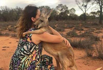 Место, где спасают осиротевших кенгуру: щемящие фото, видео