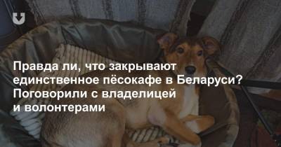 Правда ли, что закрывают единственное пёсокафе в Беларуси? Поговорили с владелицей и волонтерами