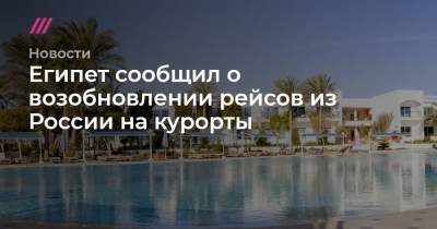 Египет сообщил о возобновлении рейсов из России на курорты