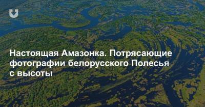 Настоящая Амазонка. Потрясающие фотографии белорусского Полесья с высоты