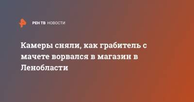 Камеры сняли, как грабитель с мачете ворвался в магазин в Ленобласти