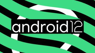 Google выпустил Android 12 для разработчиков