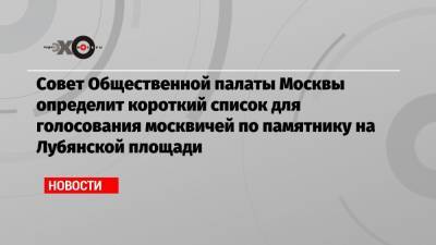 Совет Общественной палаты Москвы определит короткий список для голосования москвичей по памятнику на Лубянской площади