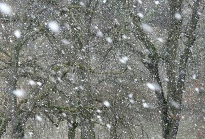 В ближайшие дни в Петербурге выпадет месячная норма снега