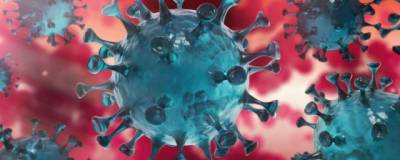 За последние сутки в России выявлены 13 433 заразившихся коронавирусом