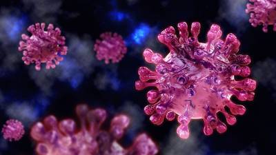 Число заболевших коронавирусом увеличилось за сутки на 13 433