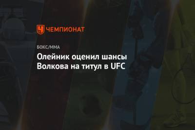 Олейник оценил шансы Волкова на титул в UFC