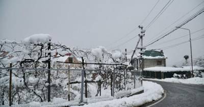 «Россети» восстанавливают электроснабжение в Сочи, нарушенное в результате снежного фронта