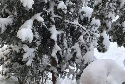Власти: в Керчи выпало полметра снега, движение ограничено