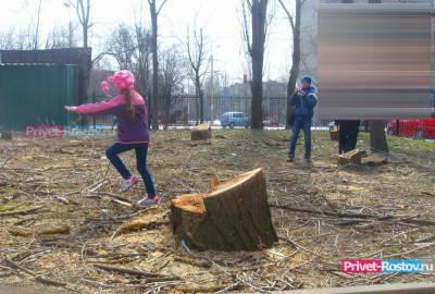 В Ростове предпринимателям разрешили выплачивать компенсацию за вырубленные деревья в денежном эквиваленте