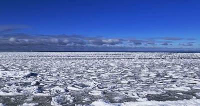 "Ледовый суп": необычное явление в Балтийском море