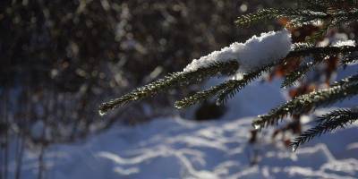 Сильные морозы сменит оттепель: какой будет погода в Украине на выходных