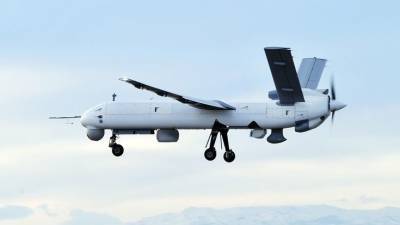 Рособоронэкспорт покажет на выставке в ОАЭ новую систему борьбы с дронами