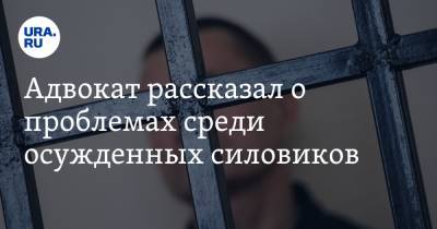 Иван Миронов - Адвокат рассказал о проблемах среди осужденных силовиков - ura.news