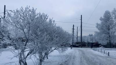 В Росгидромете раскрыли причину аномальных морозов в России