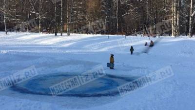 «Ребенок весь синий пришел»: как лед на пруду в Петербурге поменял цвет — видео