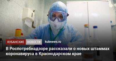 В Роспотребнадзоре рассказали о новых штаммах коронавируса в Краснодарском крае