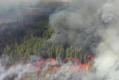 Рада увеличила штрафы за выжигание полей и лесов для граждан до 6120 гривен, чиновников - до 21 420