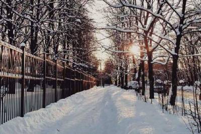 Погода в Рязанской области 20 февраля: ночью до -31 градуса