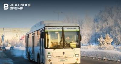 В марте в Нижнекамске начнут тестировать новую систему общественного транспорта