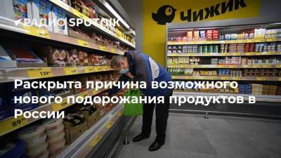 Раскрыта причина возможного нового подорожания продуктов в России