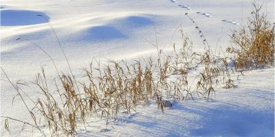 В Житомирской области 17-летний парень замерз насмерть по пути домой