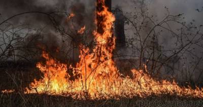 Рада ужесточила ответственность за провоцирование пожаров в лесах: насколько выросли штрафы