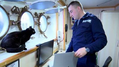 Кошка по имени Собака плавает с моряками на корабле Перекоп.