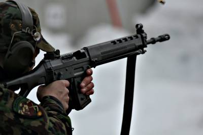 Дополнительный доход для Украины, – Остальцев назвал преимущества закона об оружии