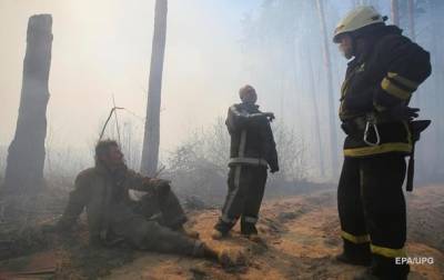 Рада передумала штрафовать за поджоги лесов
