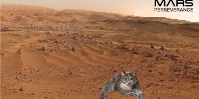 Почувствуйте себя Маском. На сайте NASA теперь можно создать свое «фото» с поверхности Марса