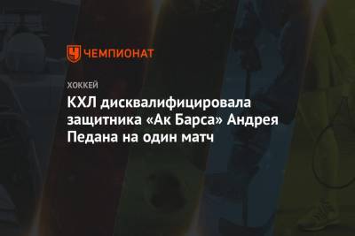 КХЛ дисквалифицировала защитника «Ак Барса» Андрея Педана на один матч