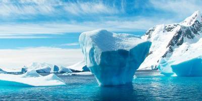 Подводные роботы изучают воздействие айсбергов на экосистему Антарктиды